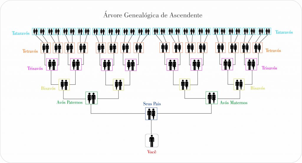 arvore-genealogica-blog